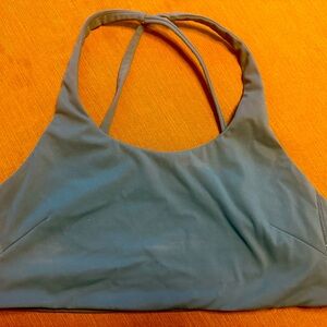 Paragon Radiate Bra XL